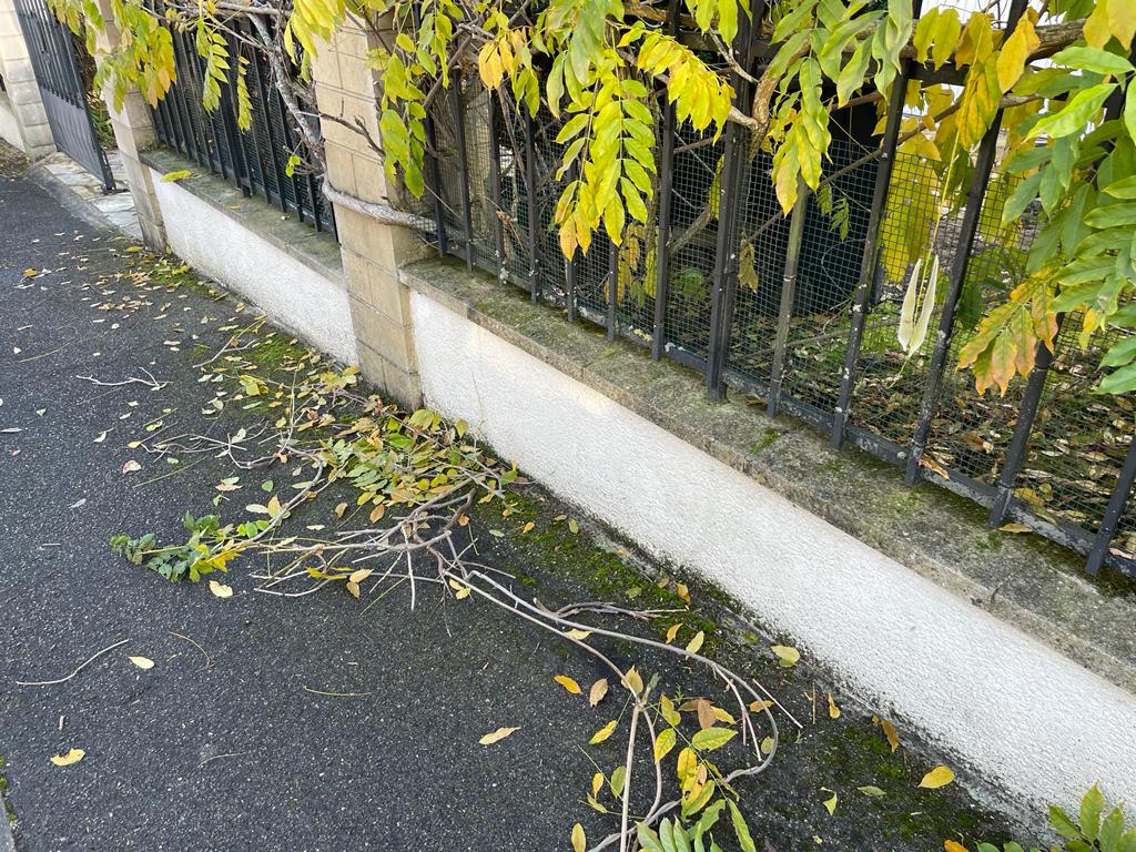 Nettoyage et peinture muret acheres 78260 avant