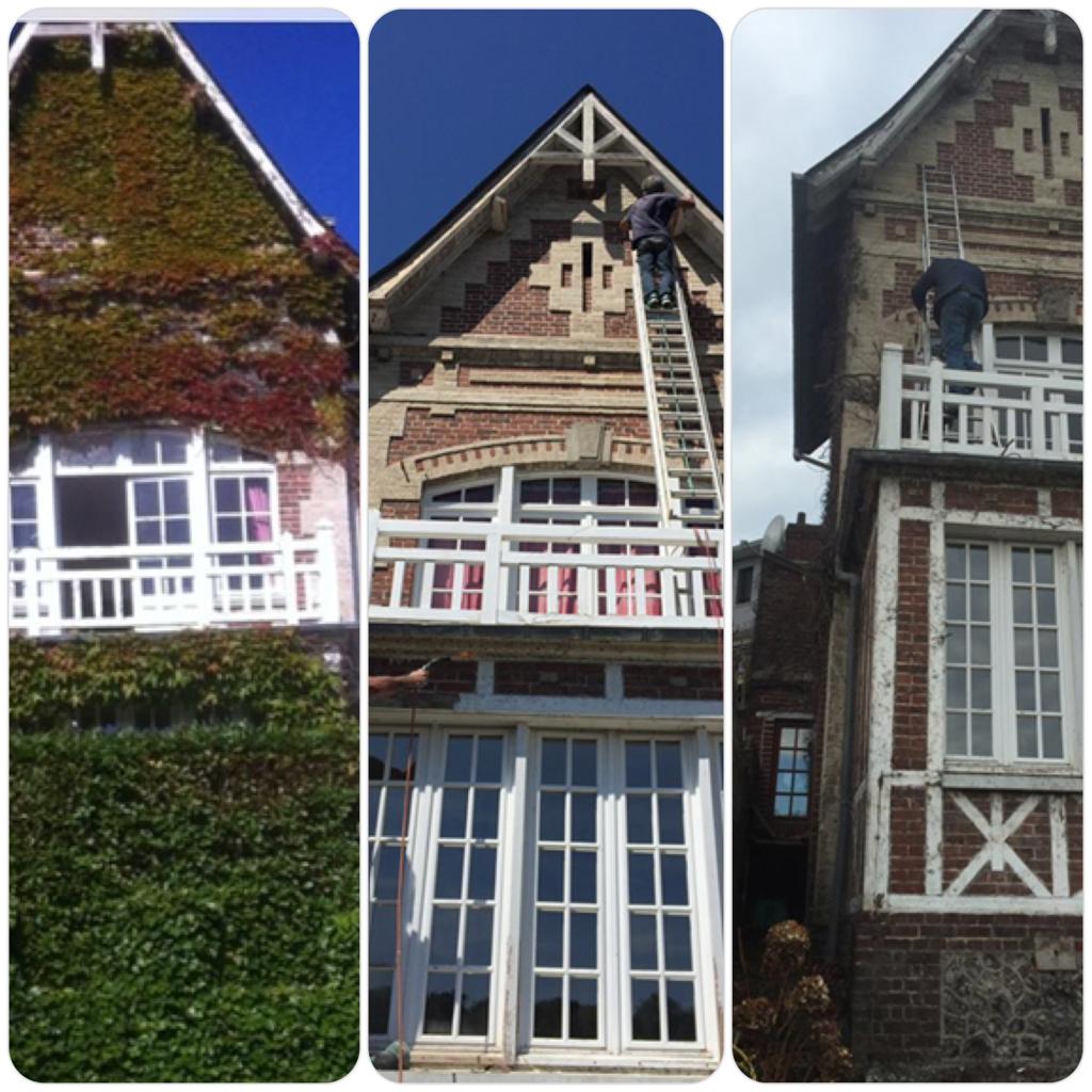 Nettoyage facade vegetation colombages courbevoie 92400